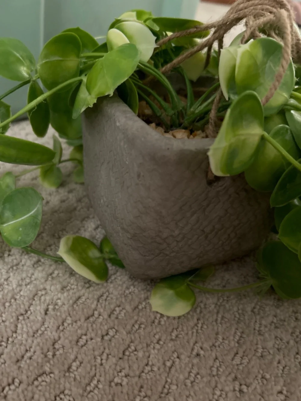 Hanging faux plant